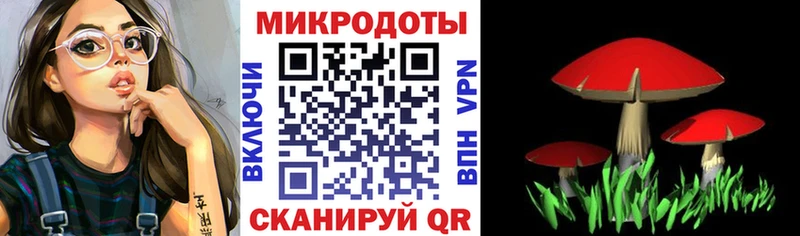 KRAKEN цены Лесосибирск Галлюциногенные грибы Psilocybine cubensis